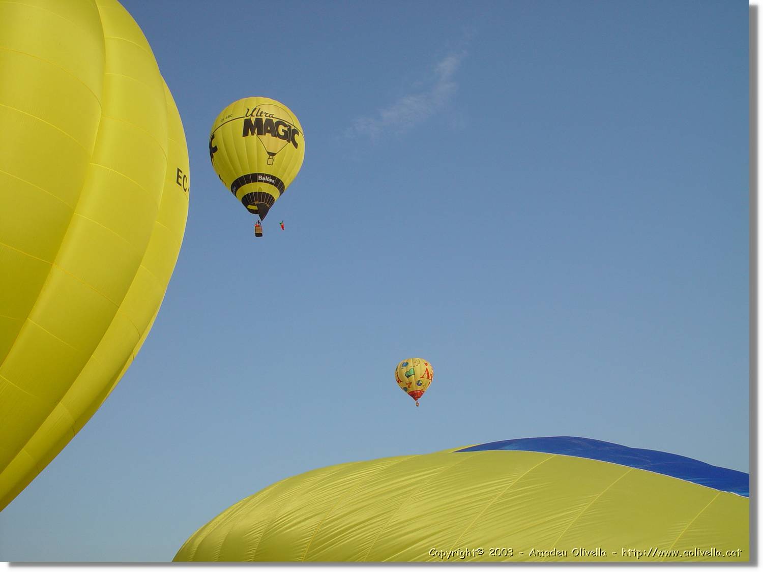 Balloon_100.jpg