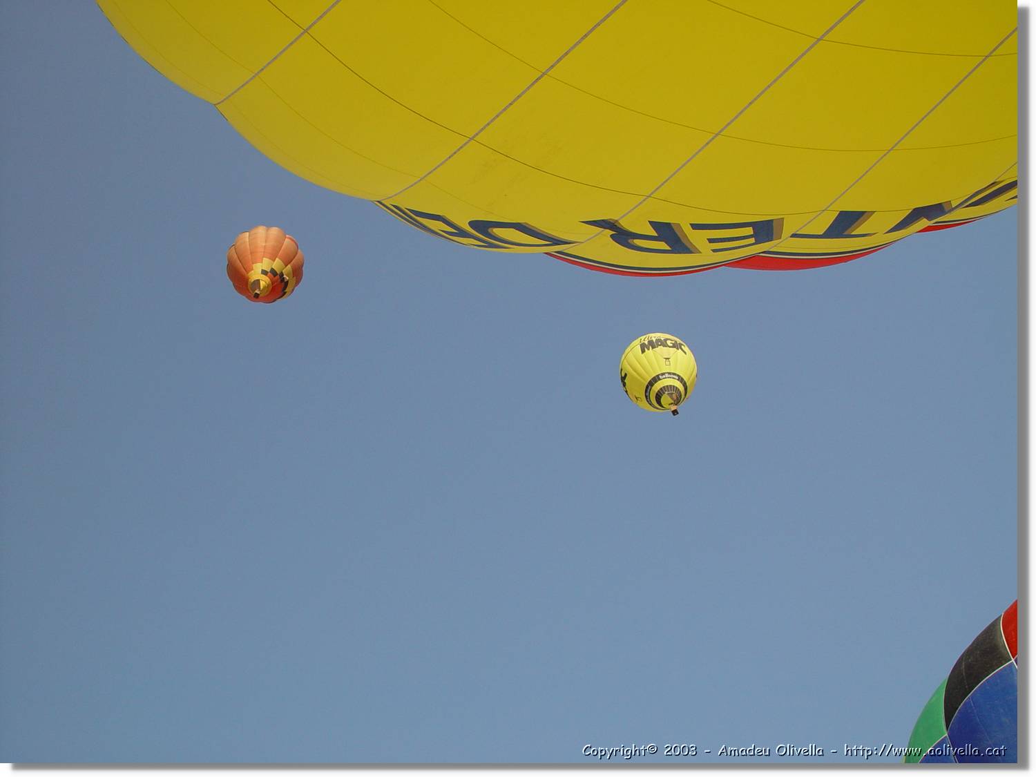 Balloon_116.jpg