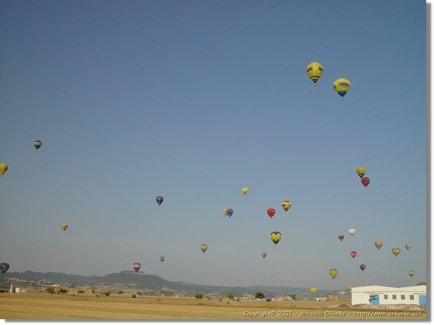 Balloon_148.jpg
