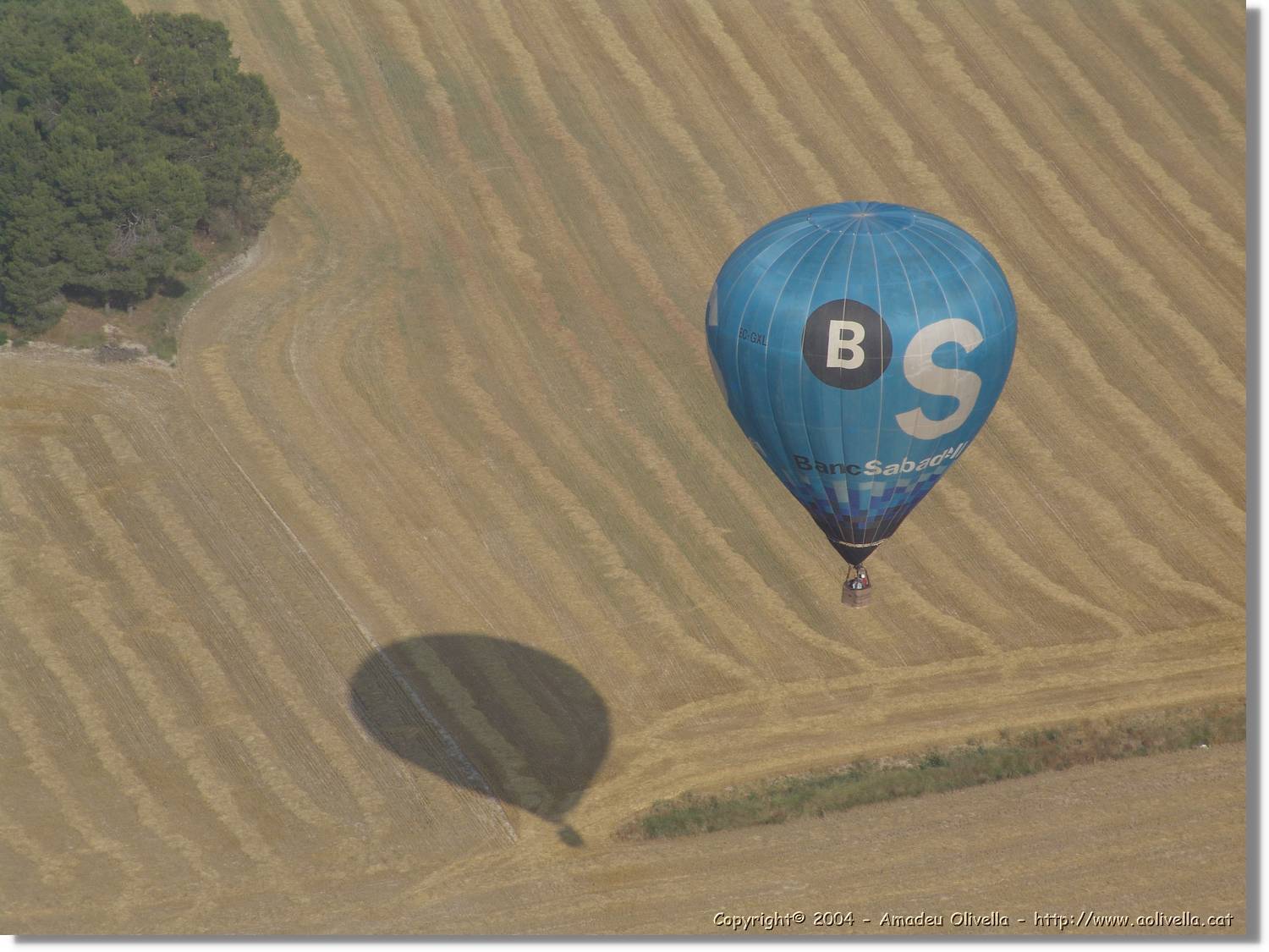 Balloon_140.jpg