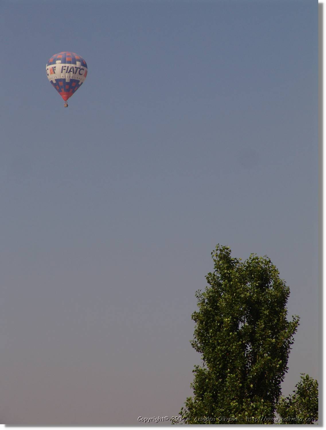 Balloon_188.jpg