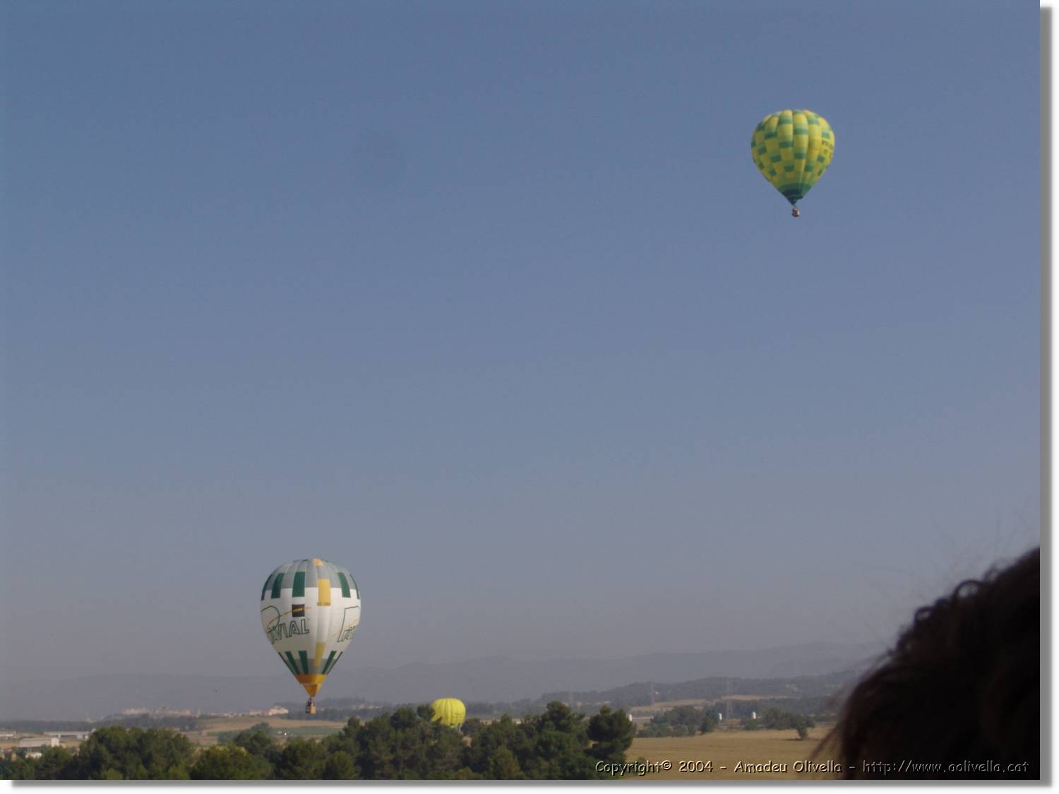 Balloon_199.jpg