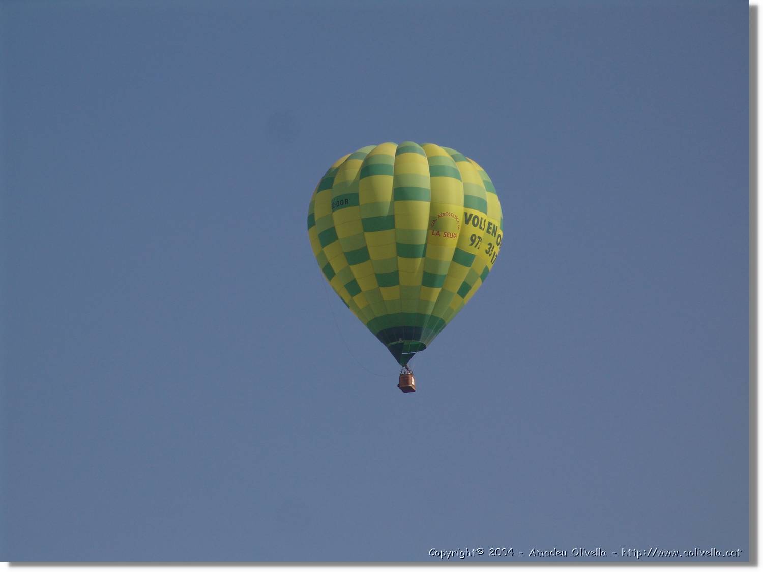Balloon_202.jpg