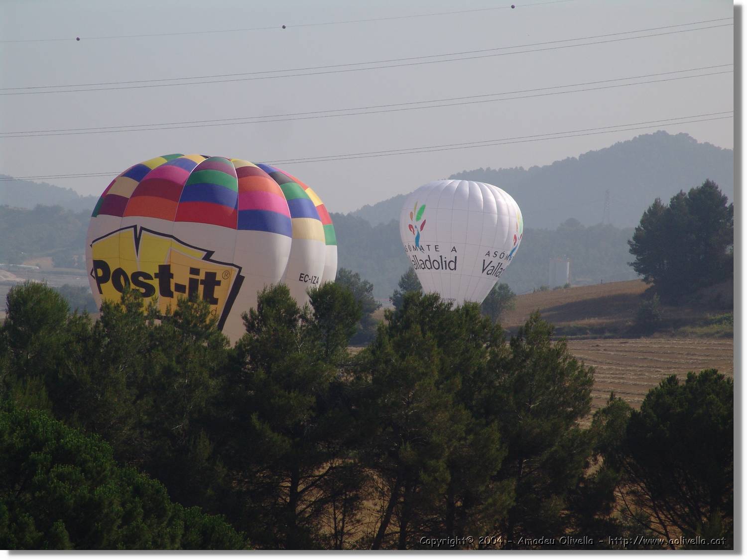 Balloon_205.jpg