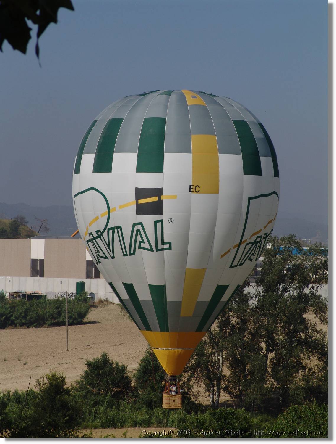 Balloon_229.jpg