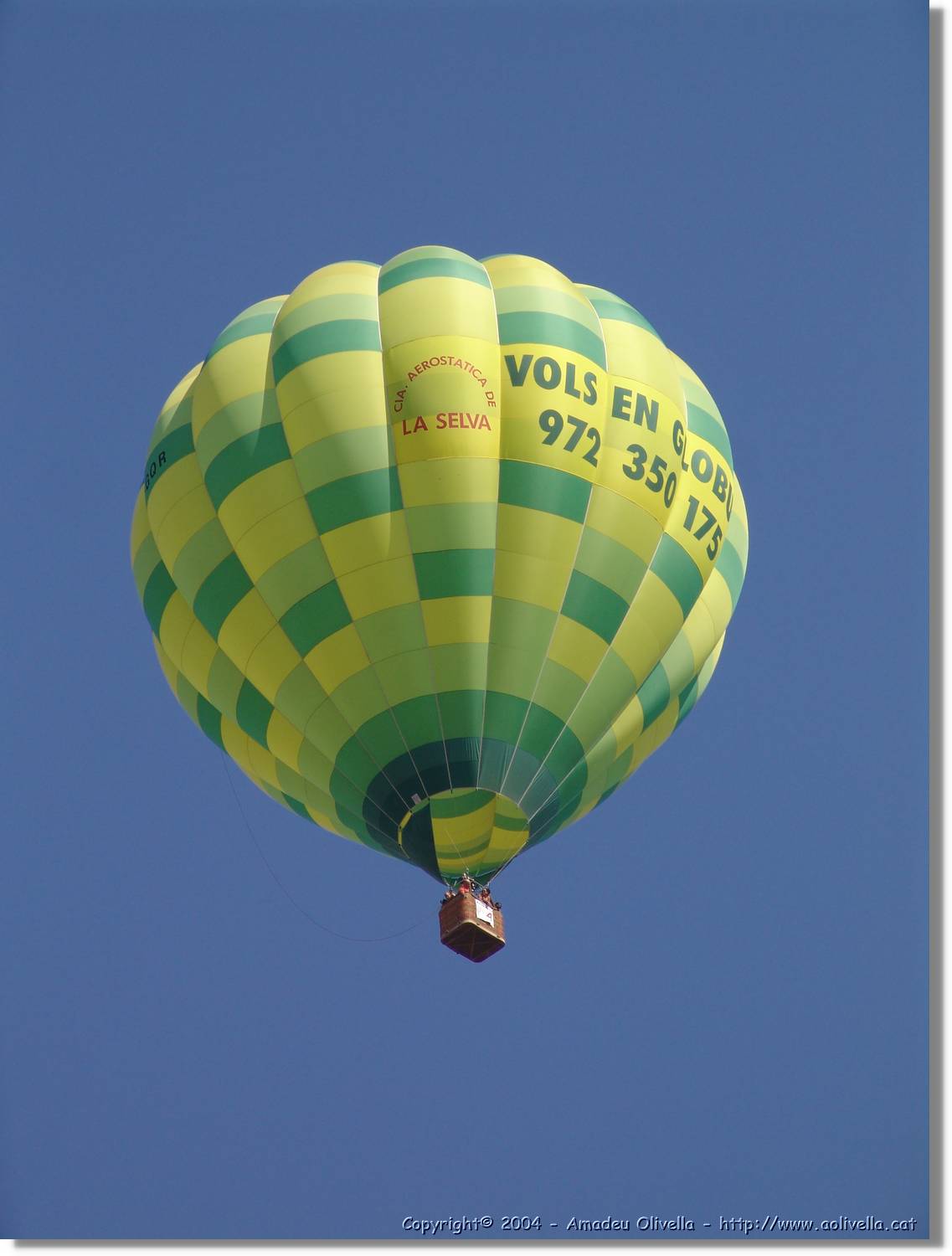 Balloon_239.jpg