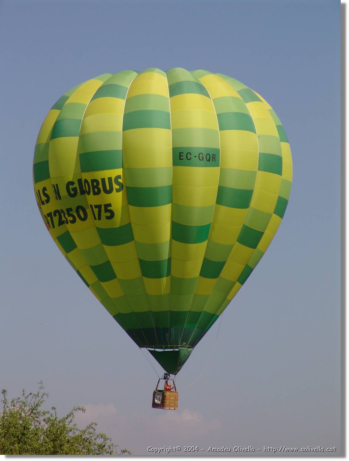 Balloon_260.jpg