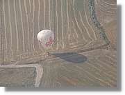 Balloon_126.jpg