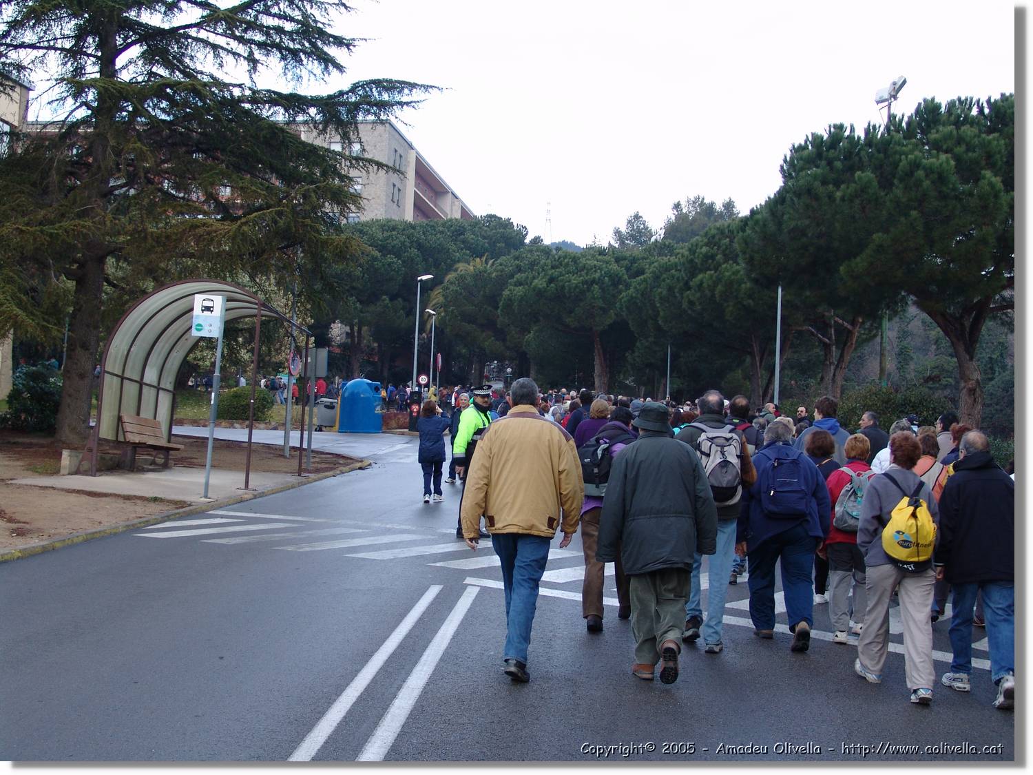 Barna_010.jpg