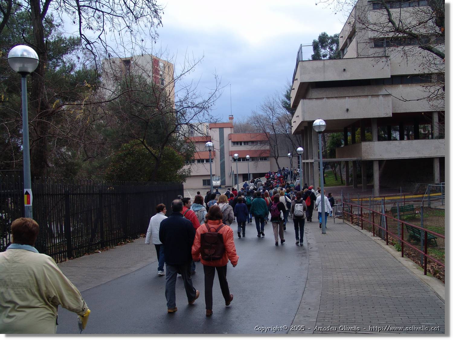 Barna_025.jpg