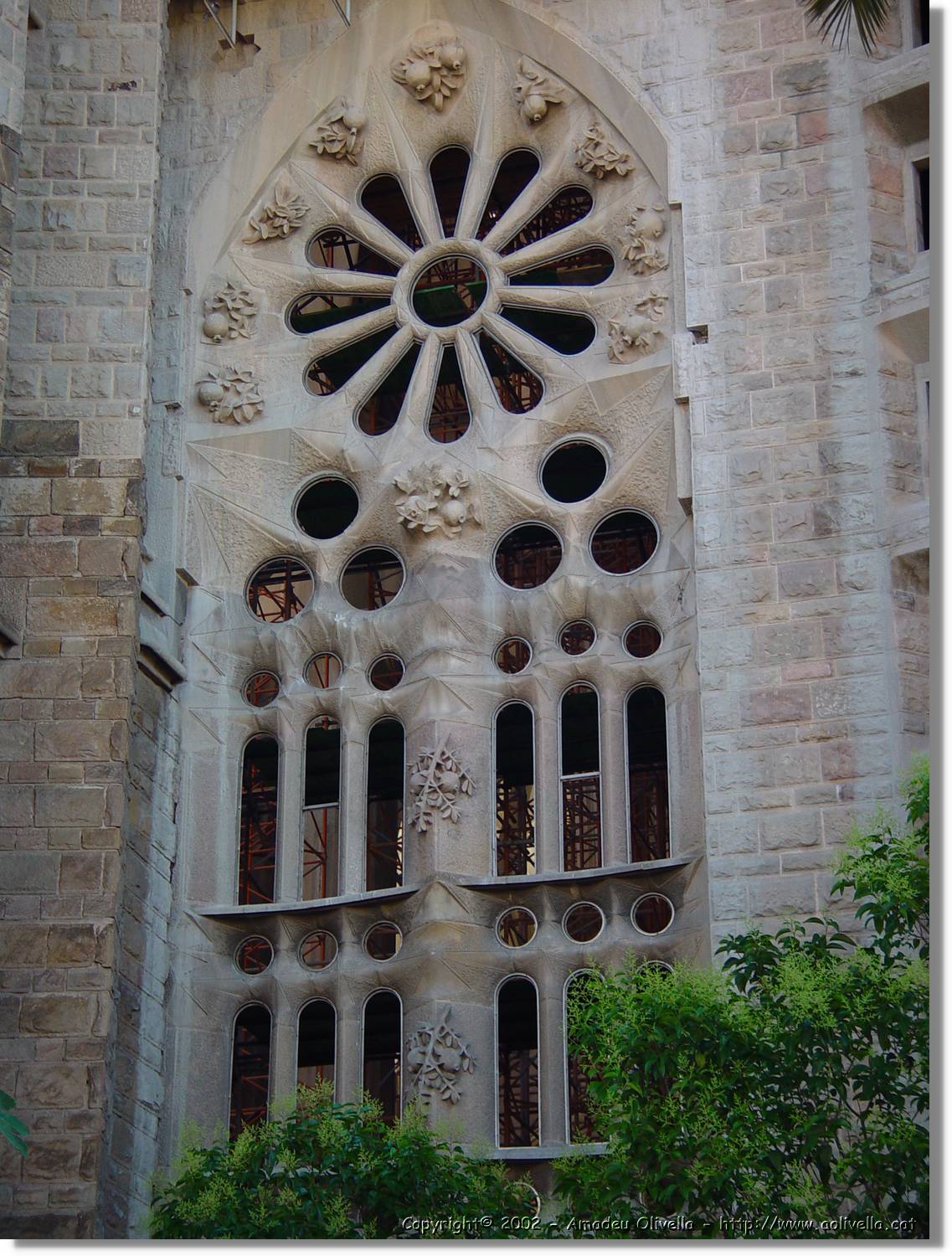 DFoto_020.jpg