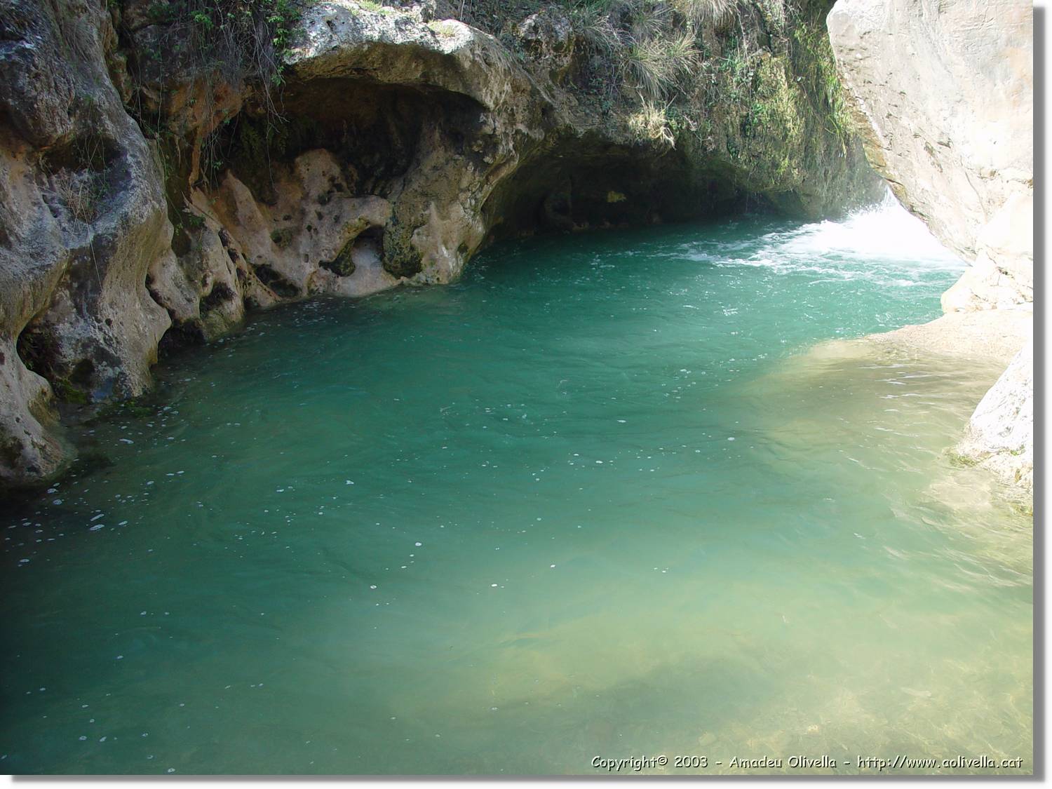 Dous_017.jpg