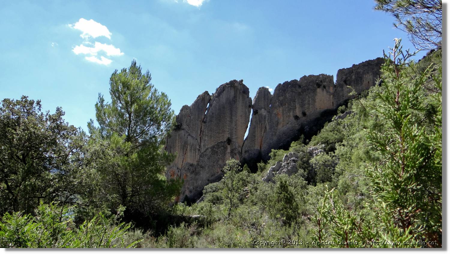 Finestres_066.jpg