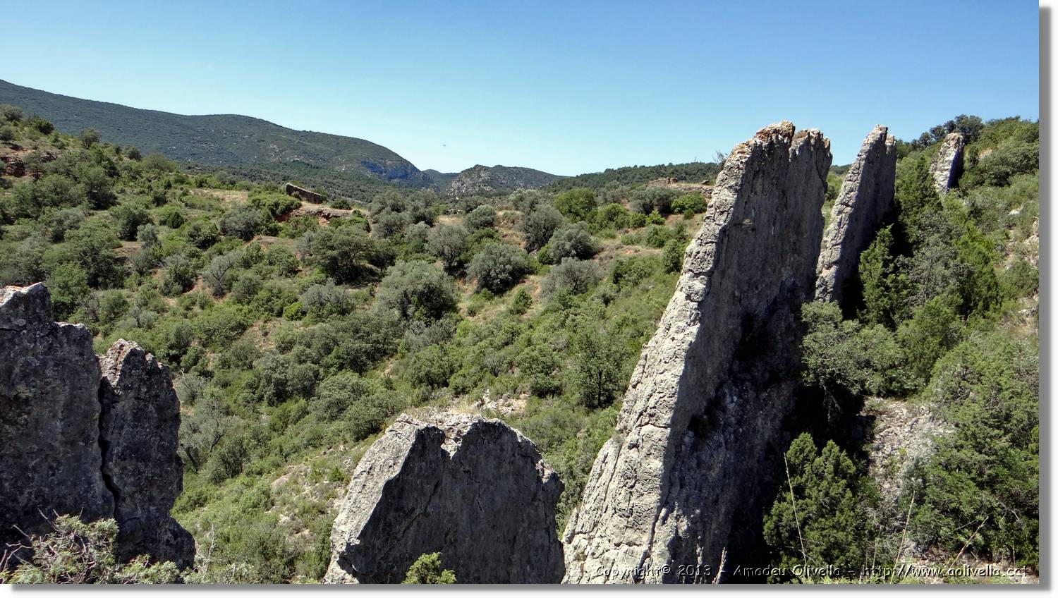 Finestres_071.jpg