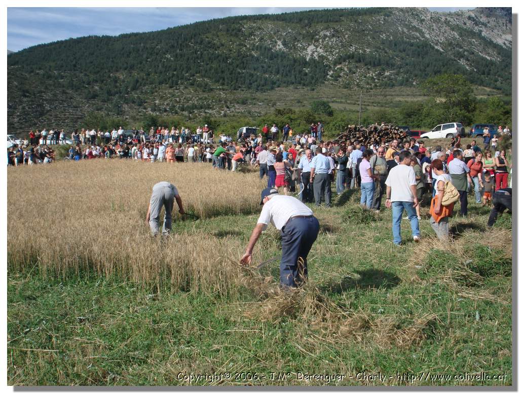 Segar_53.jpg