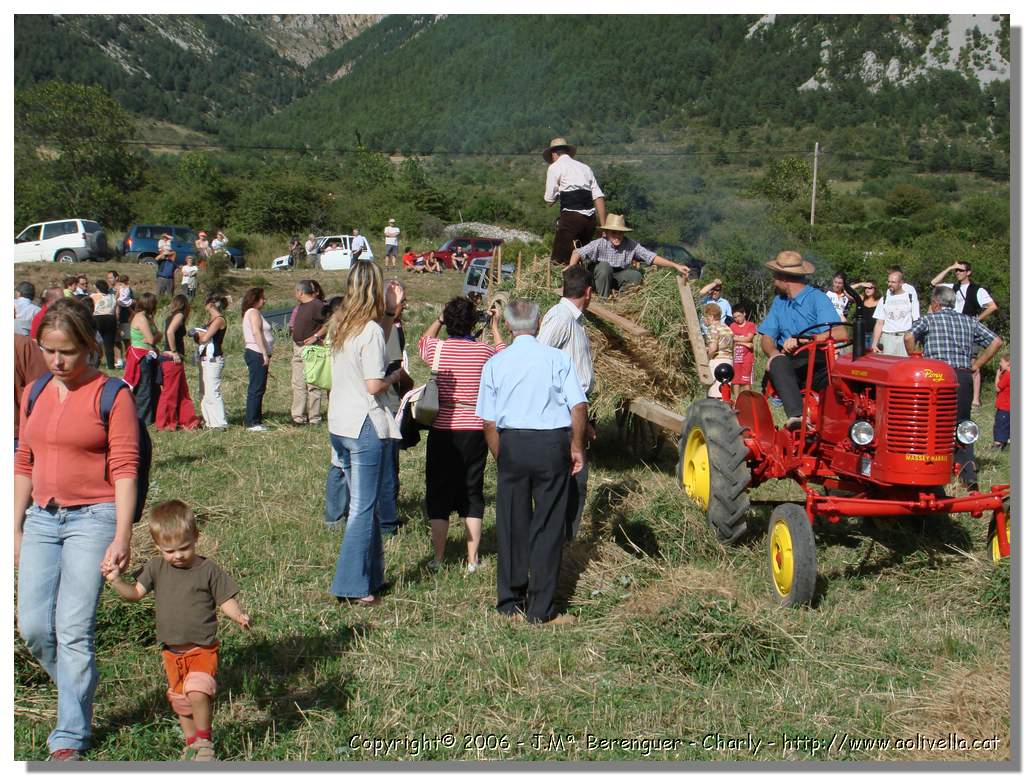 Segar_54.jpg