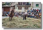 Segar_35.jpg