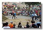 Segar_43.jpg
