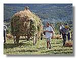 Segar_60.jpg
