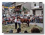 Segar_68.jpg