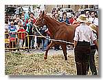Segar_70.jpg