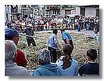 Segar_71.jpg