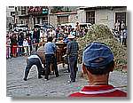 Segar_75.jpg