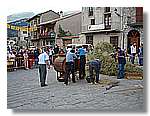 Segar_77.jpg