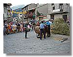 Segar_78.jpg