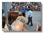 Segar_80.jpg