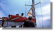 Regata_138.jpg