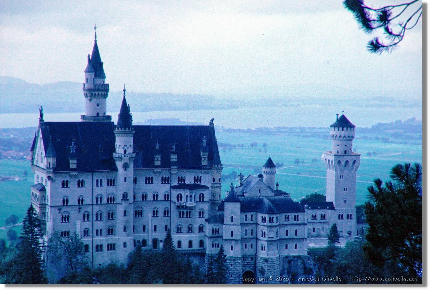 Neuschwanstein_014.jpg