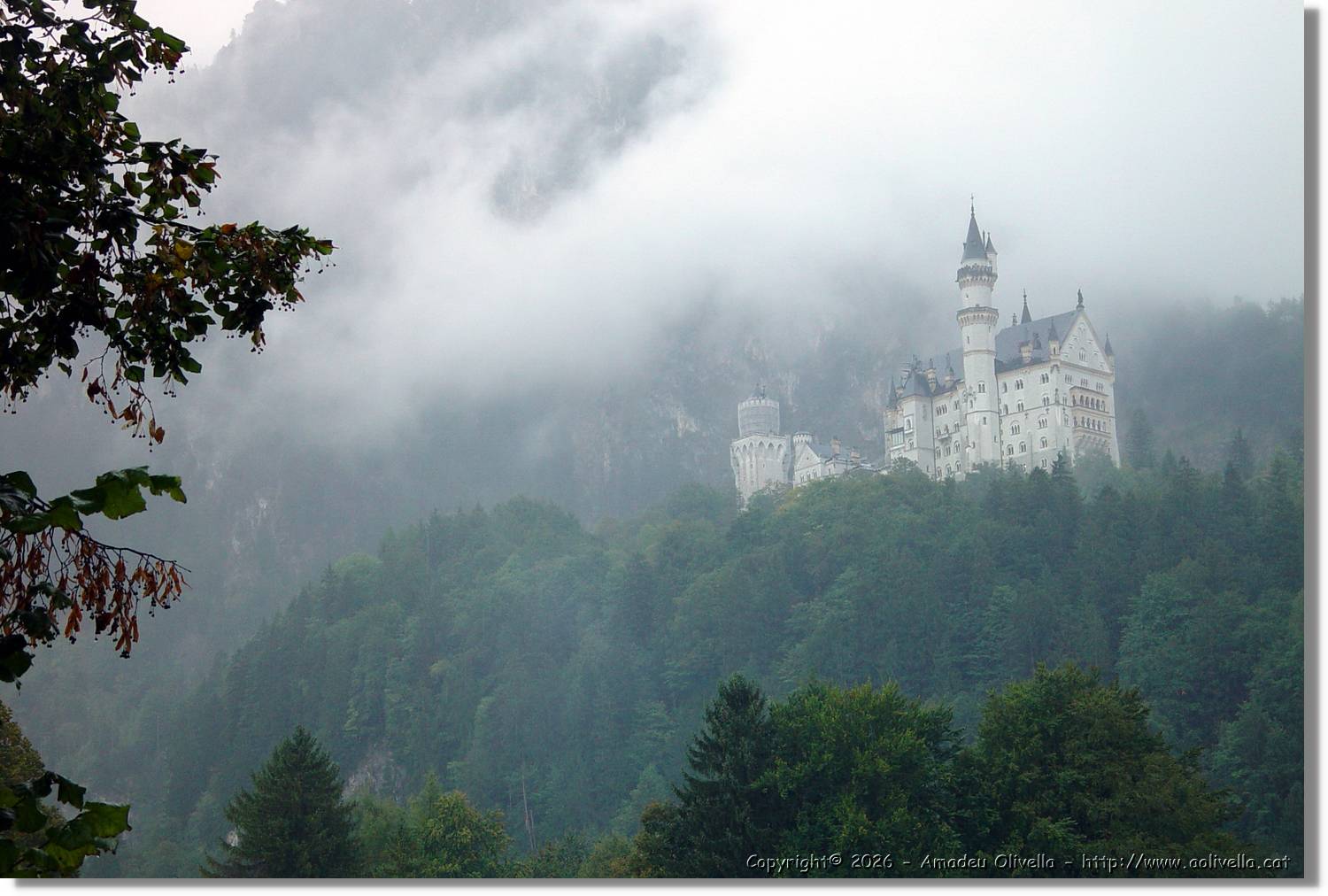Neuschwanstein_061.jpg