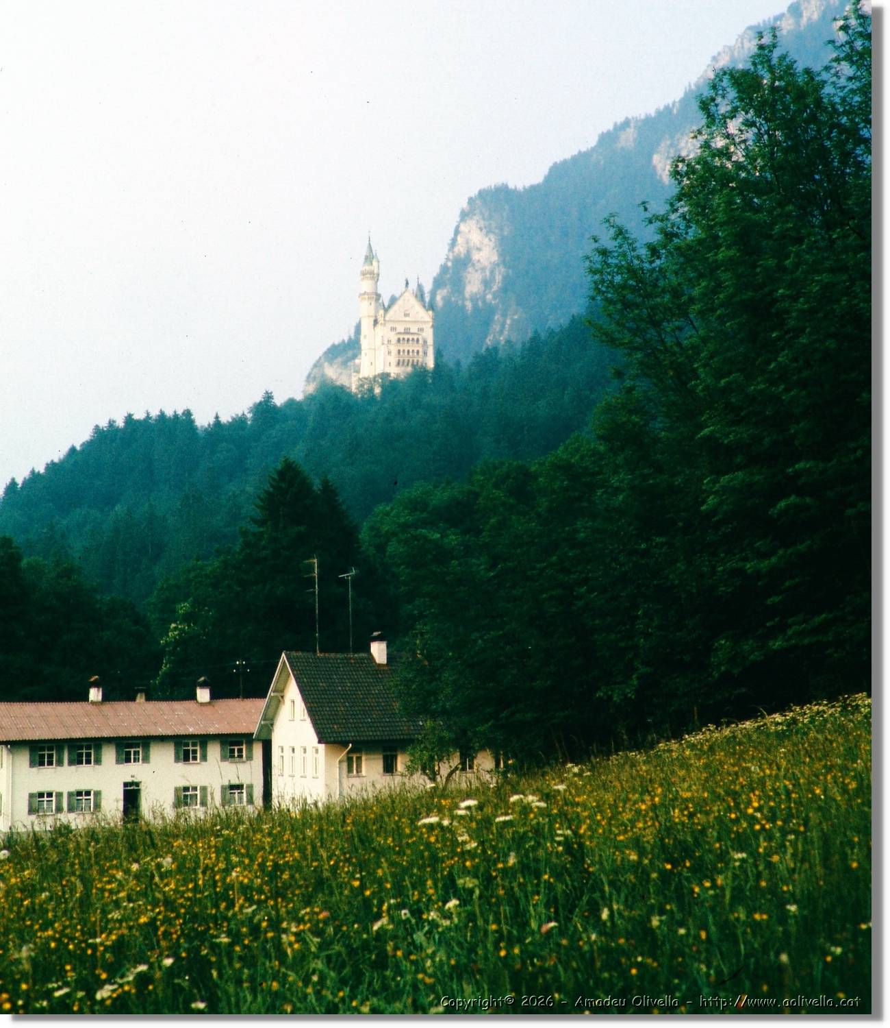 Neuschwanstein_072.jpg