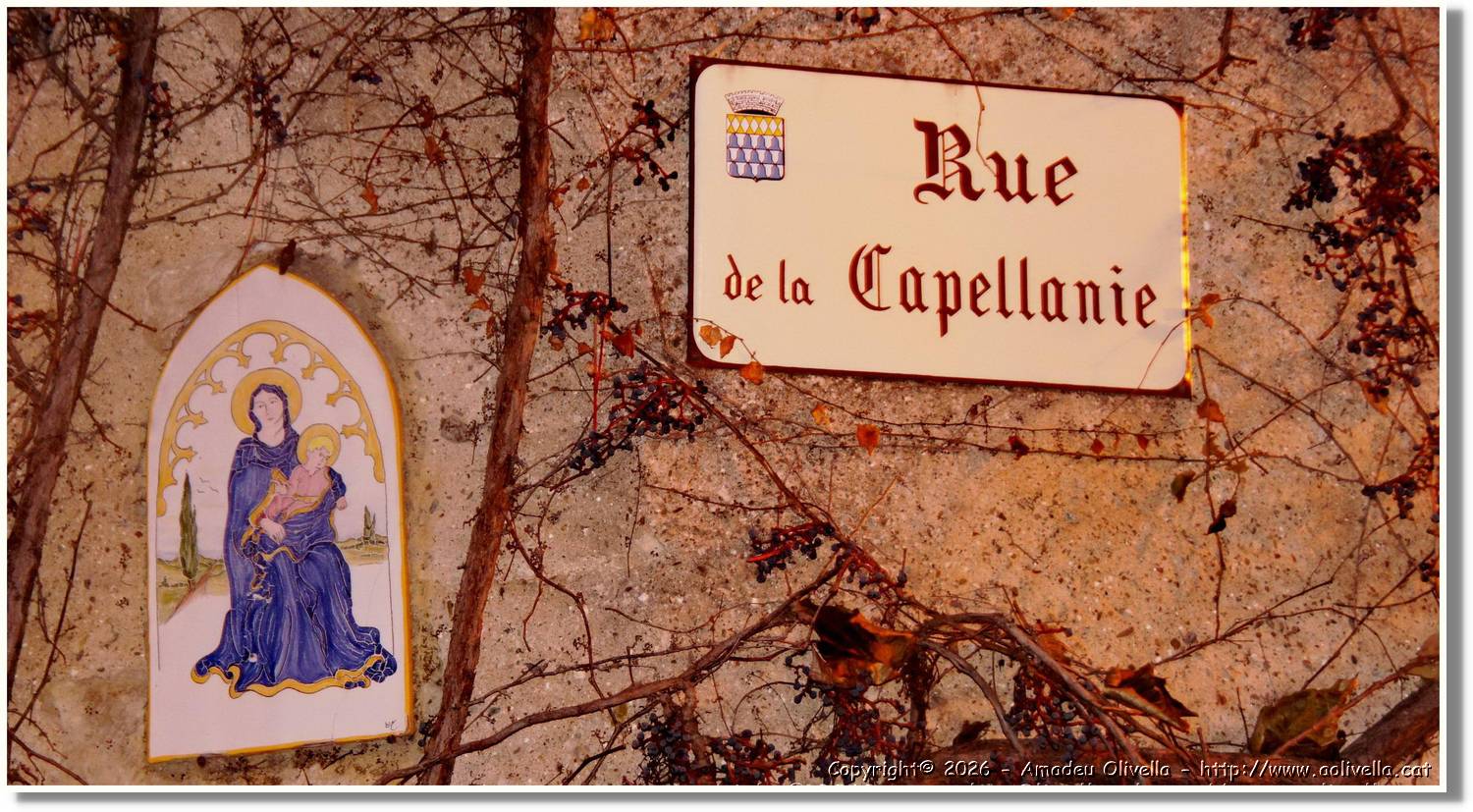 Carcassonne_016.jpg