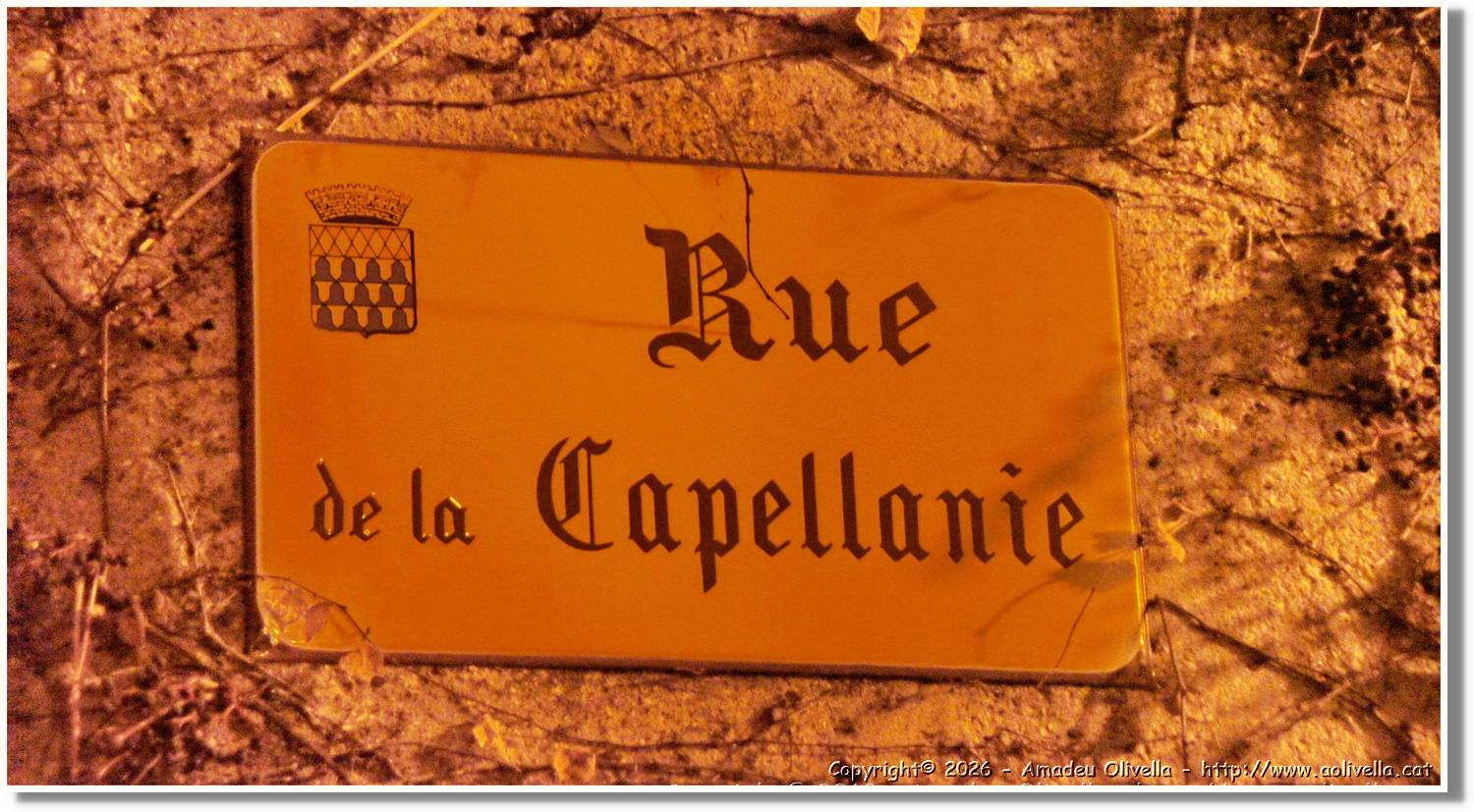Carcassonne_018.jpg