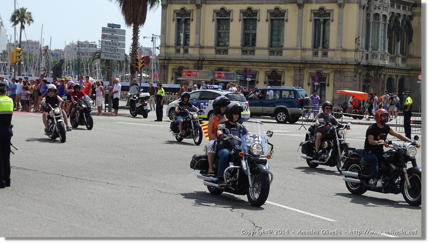 HarleyD_002.jpg