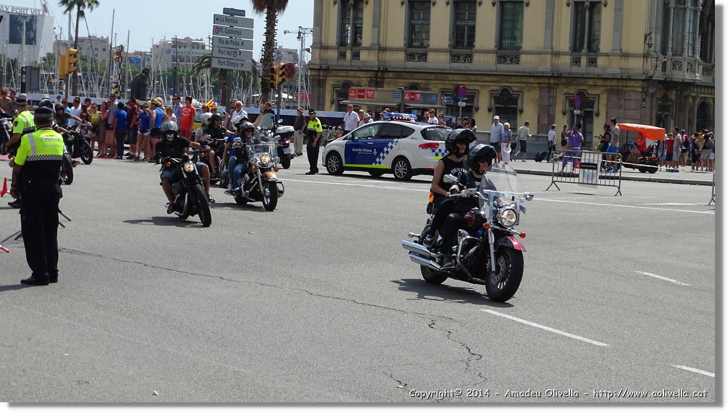 HarleyD_003.jpg