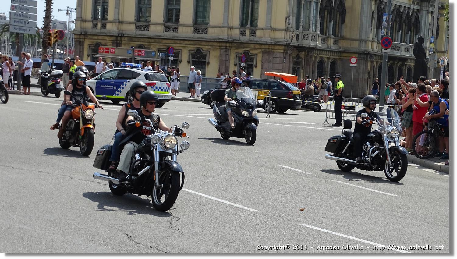 HarleyD_005.jpg