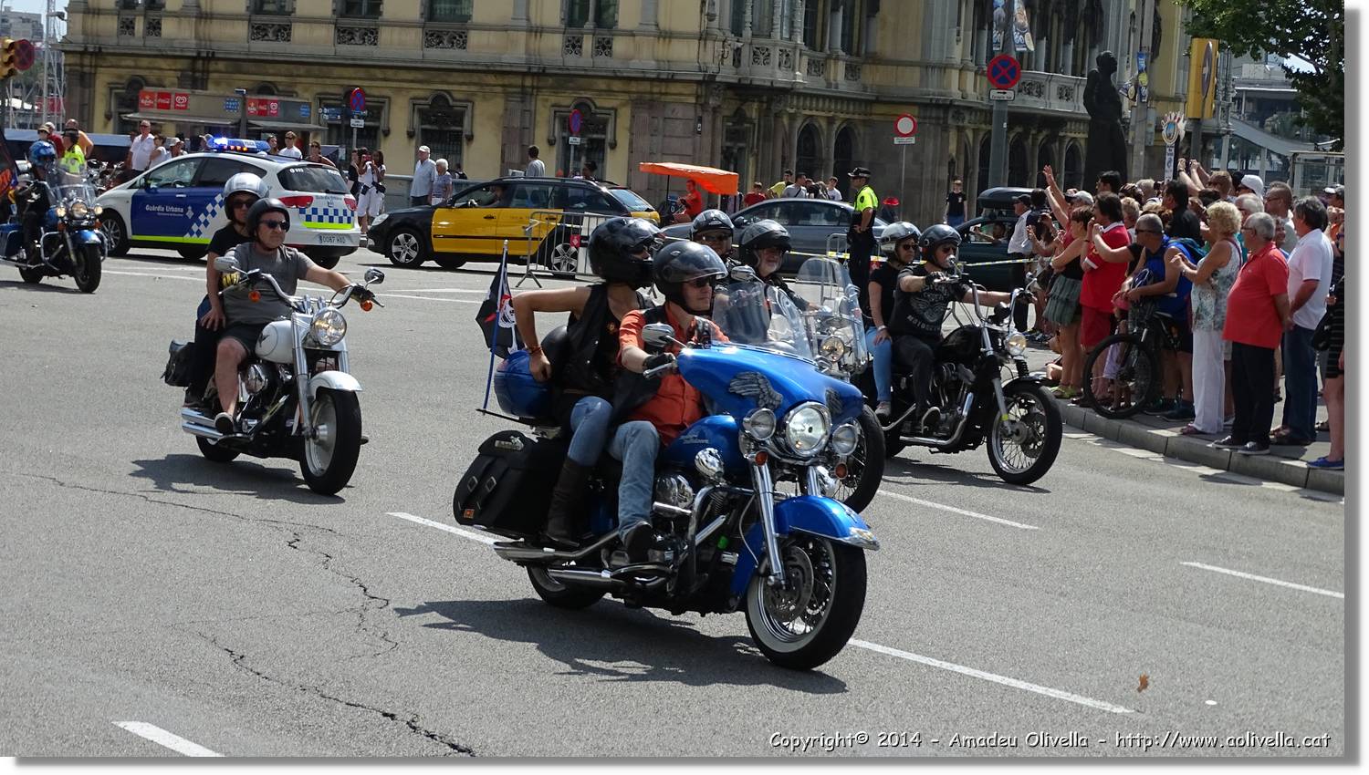 HarleyD_006.jpg