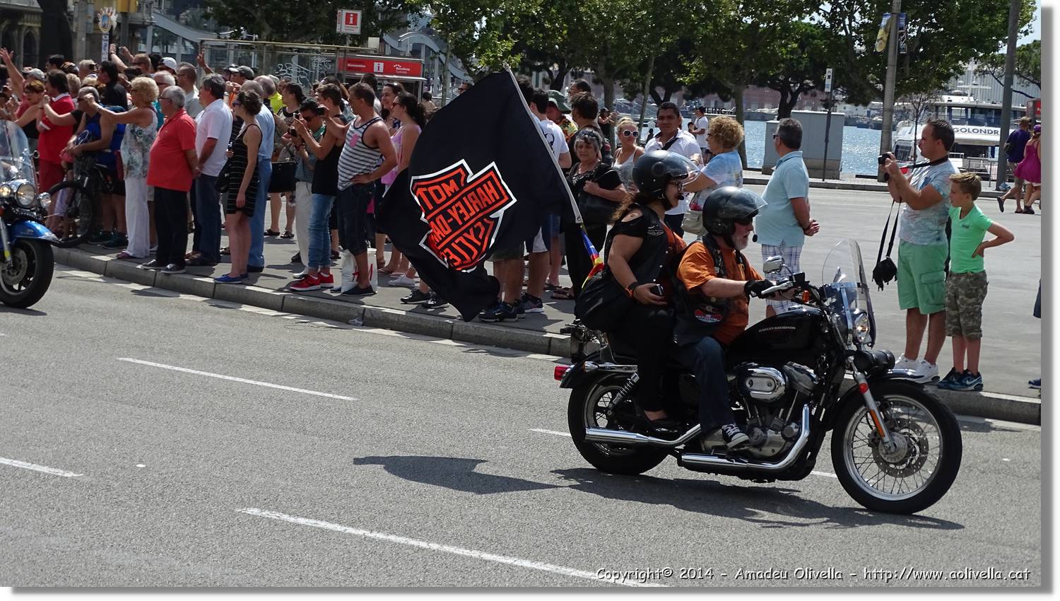 HarleyD_007.jpg