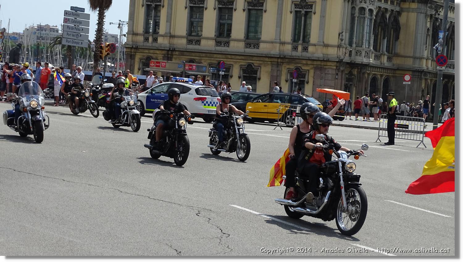HarleyD_008.jpg