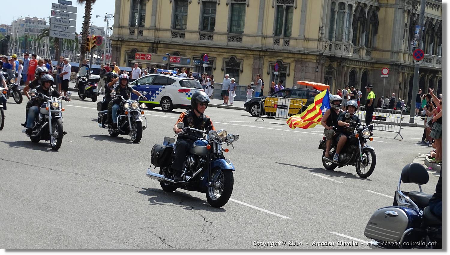 HarleyD_009.jpg