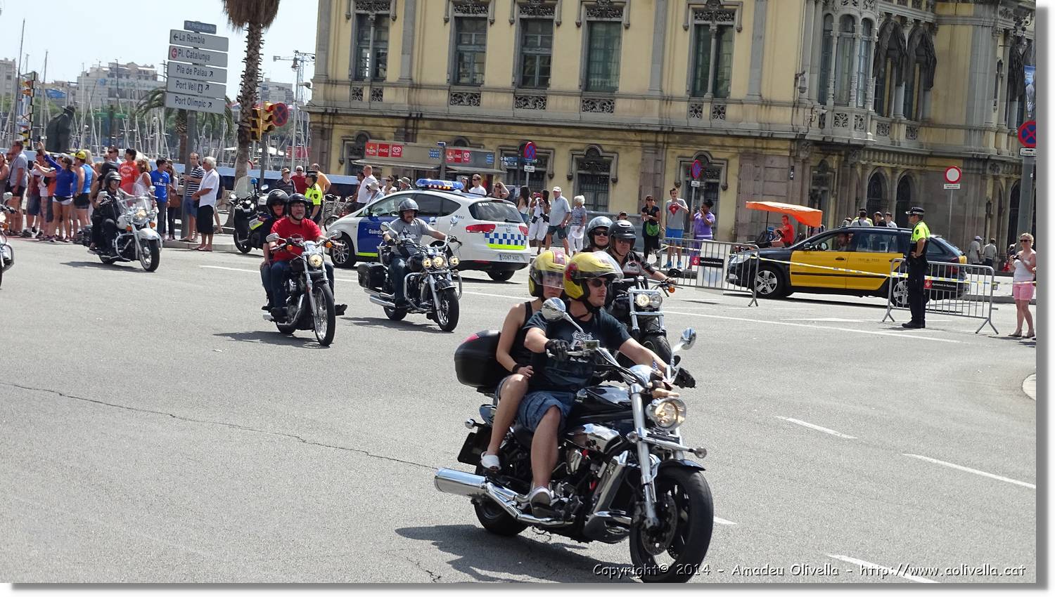 HarleyD_010.jpg
