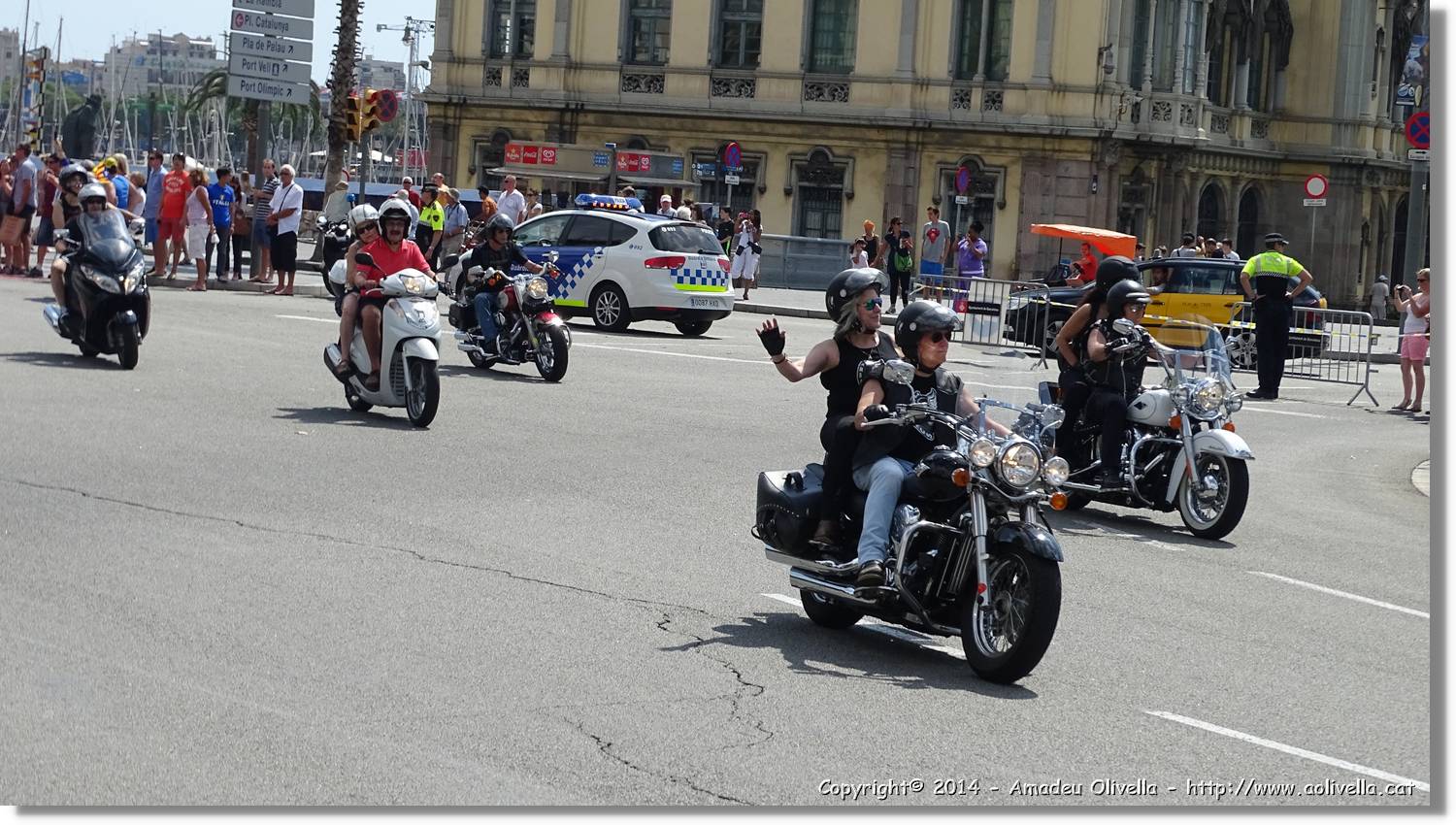 HarleyD_011.jpg