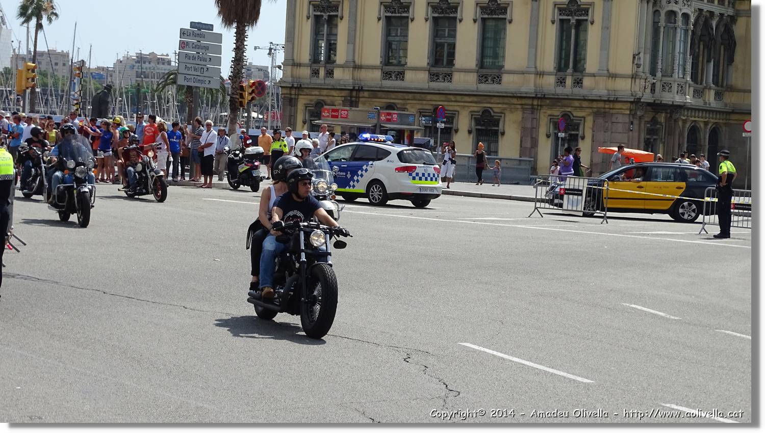 HarleyD_012.jpg