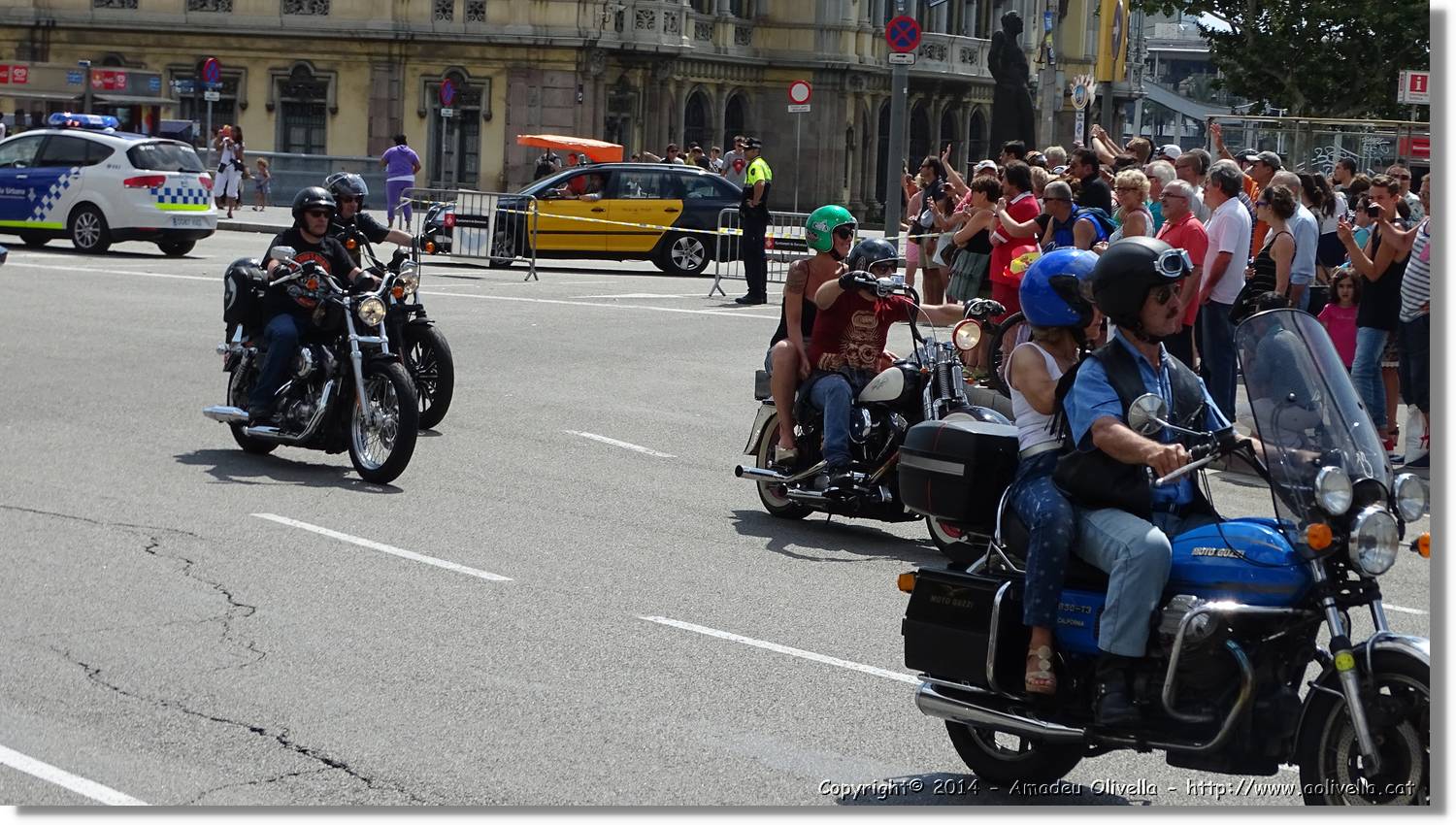 HarleyD_013.jpg