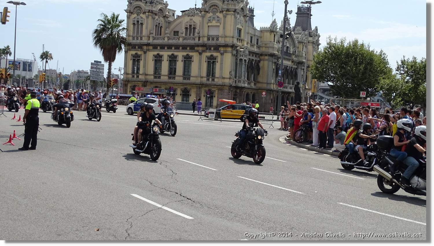 HarleyD_014.jpg