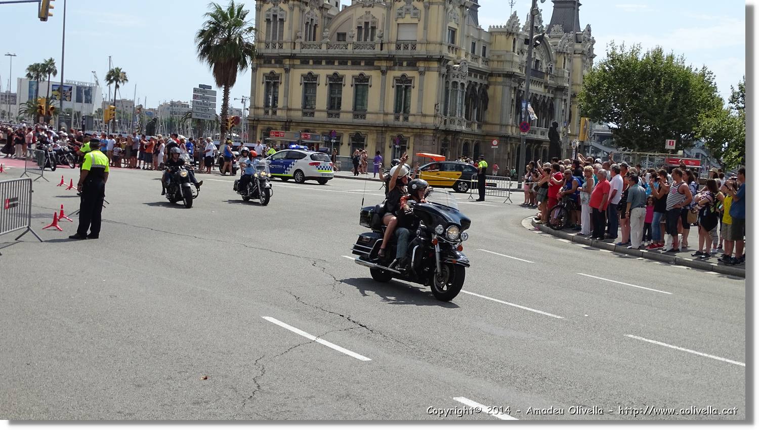 HarleyD_015.jpg