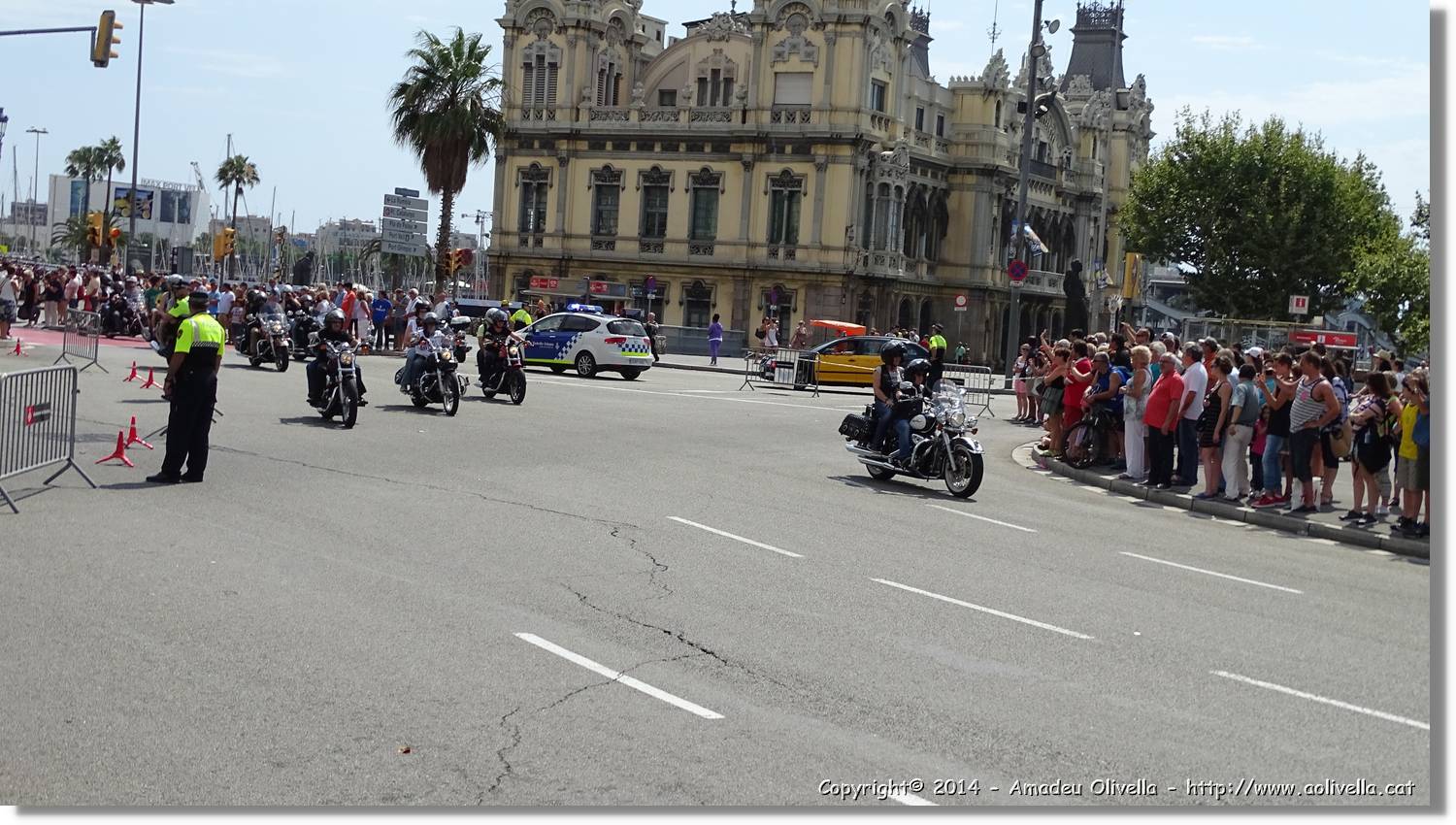 HarleyD_016.jpg